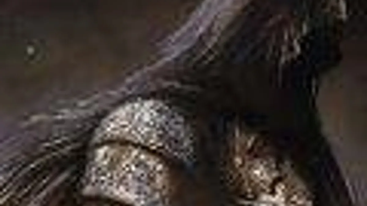 Hlavní obrázek článku: Vývojáři opraví rychlé opotřebovávání zbraní v Dark Souls II: Scholar of the First Sin