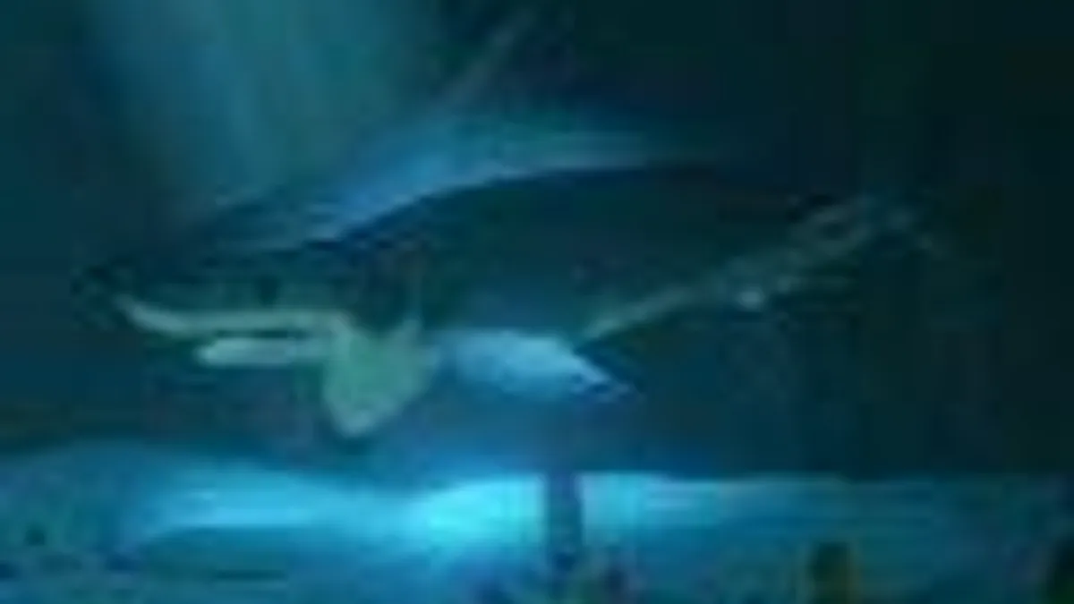 Hlavní obrázek článku: Nové gameplay video ze hry Abzu