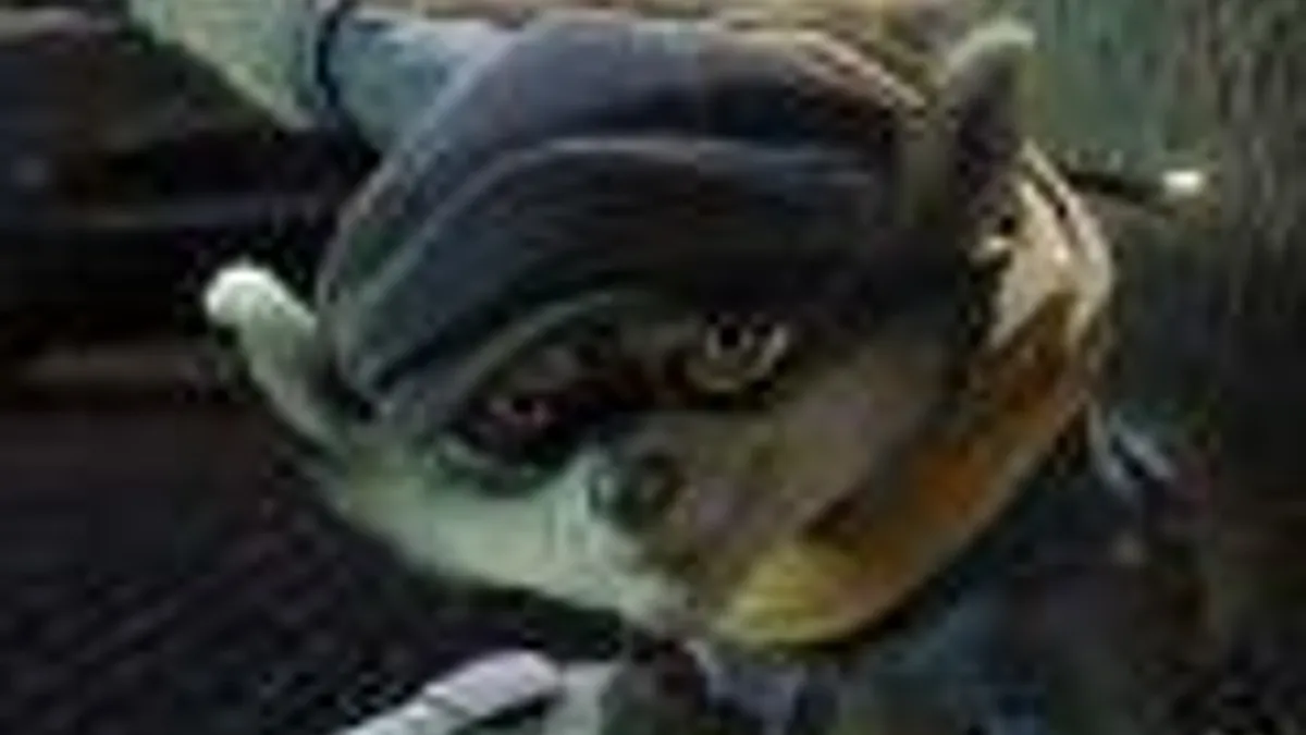 Hlavní obrázek článku: Sucker Punch dohlíží na Sly Cooper, proč CG?