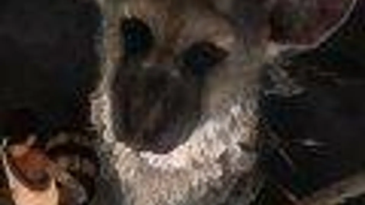 Hlavní obrázek článku: Sony na zítřek slibuje novinky, na jaké jsme čekali