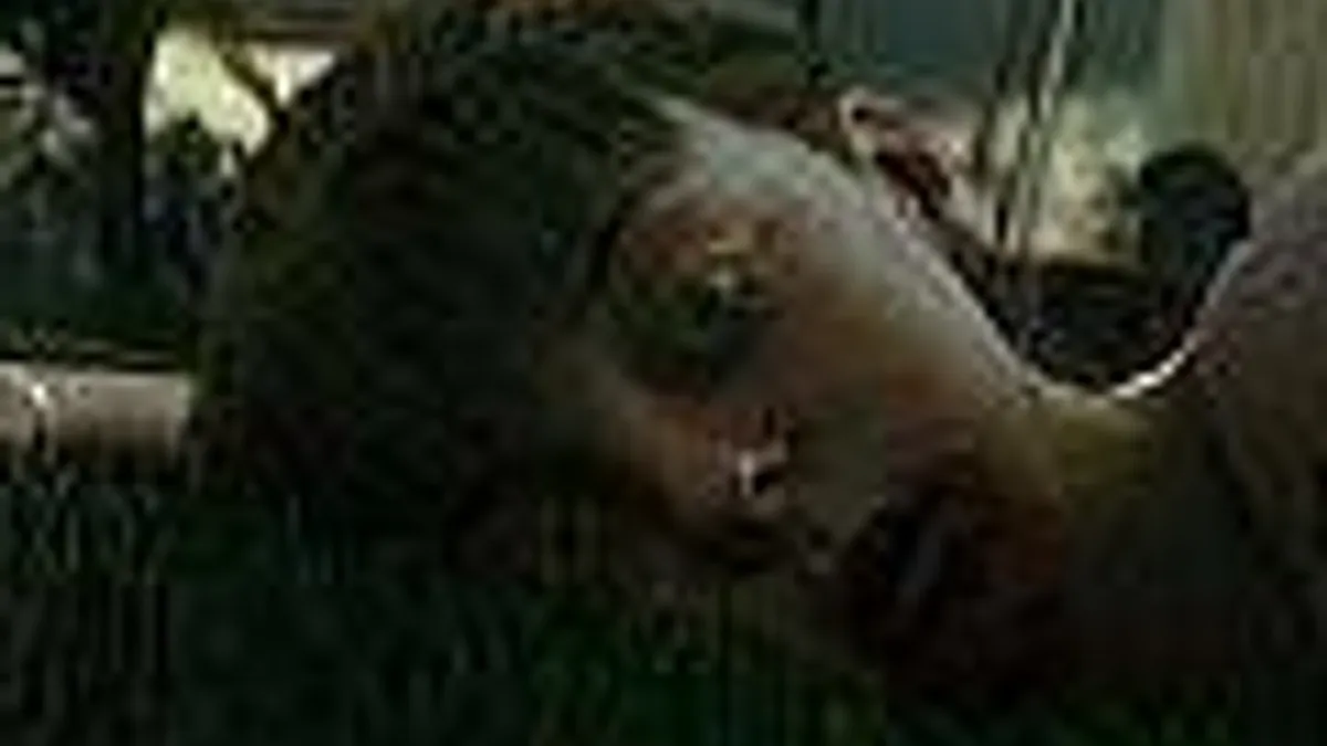 Hlavní obrázek článku: Dead Island znovuzrozen v traileru - Doporučujeme