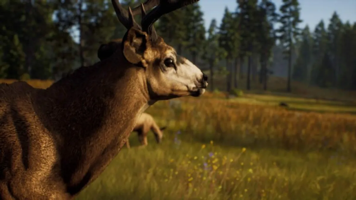 Hlavní obrázek článku: Lovecká hra Way of the Hunter vyjde v polovině srpna, nový trailer