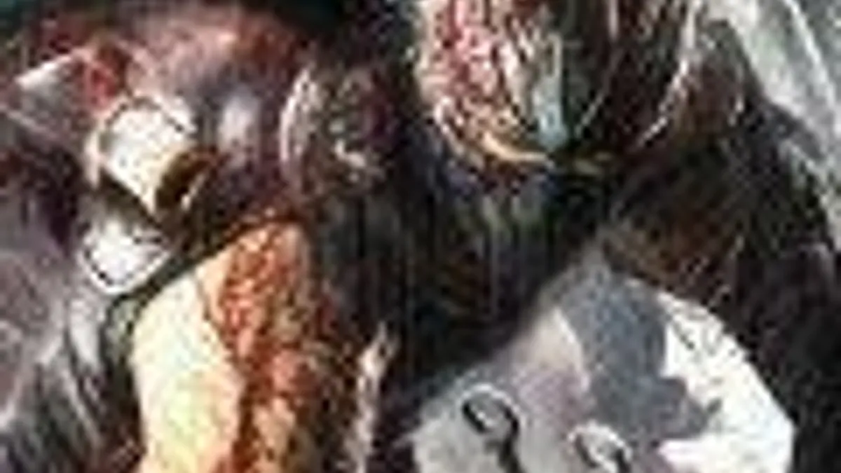 Hlavní obrázek článku: Team Ninja vytváří nový Ninja Gaiden