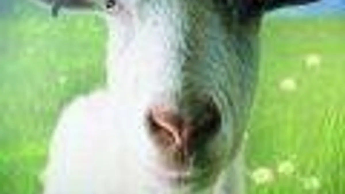 Hlavní obrázek článku: Goat Simulator vyjde na Xbox One a Xbox 360 koncem dubna