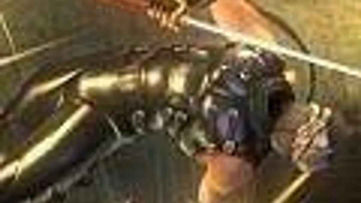 Hlavní obrázek článku: Ninja Gaiden Sigma Plus má datum – 22. února