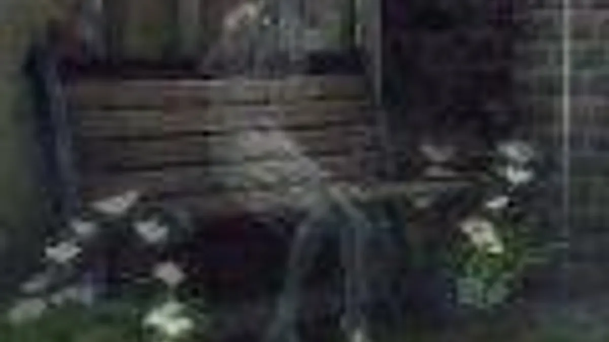 Hlavní obrázek článku: rain