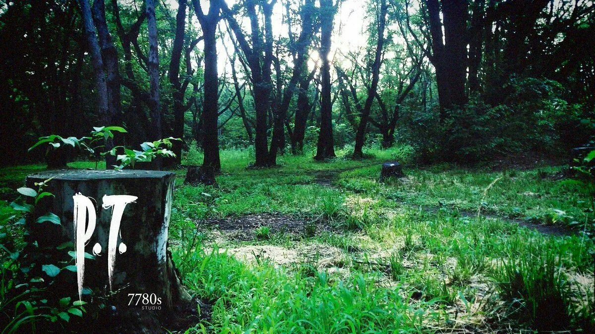 Hlavní obrázek článku: Je tomu už osm let od vydání legendárního dema P.T.