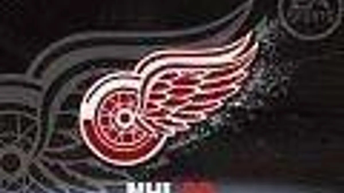 Hlavní obrázek článku: NHL 09 Theme pack