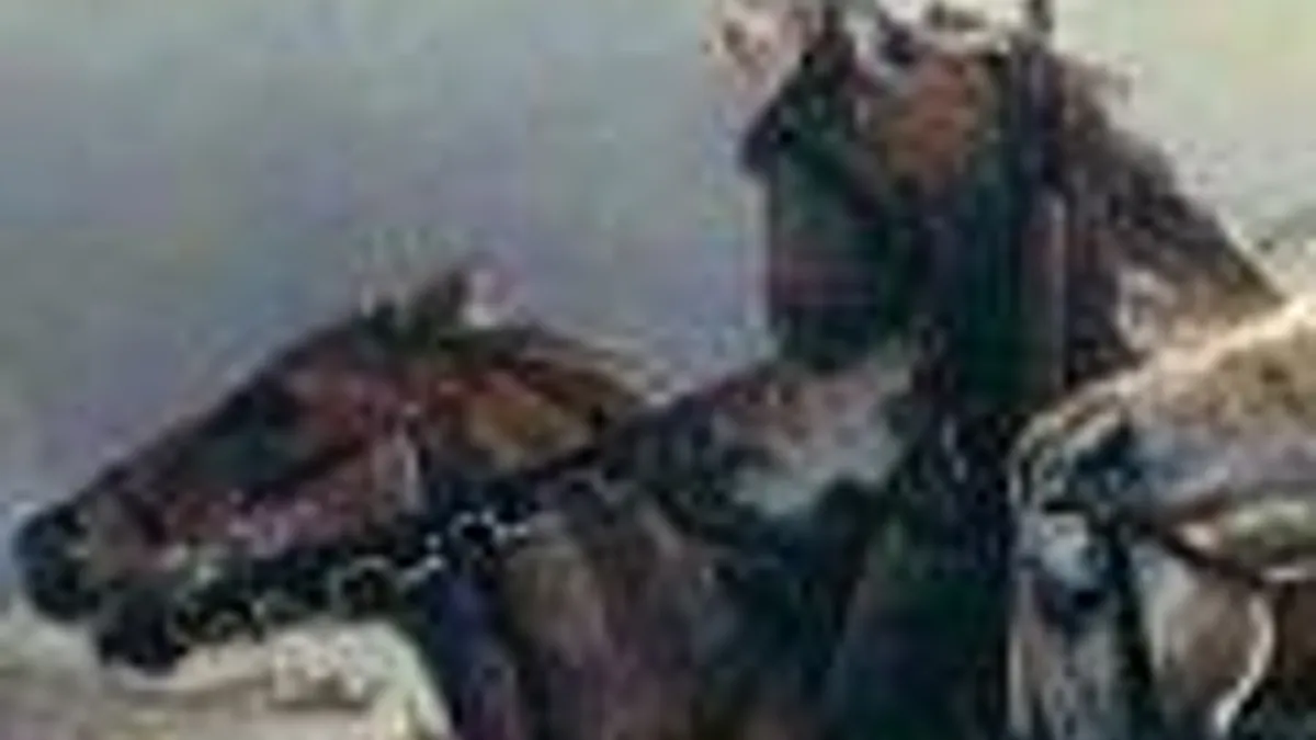 Hlavní obrázek článku: Nové obrázky a artworky na hru Zaklínač 3: Divoký hon