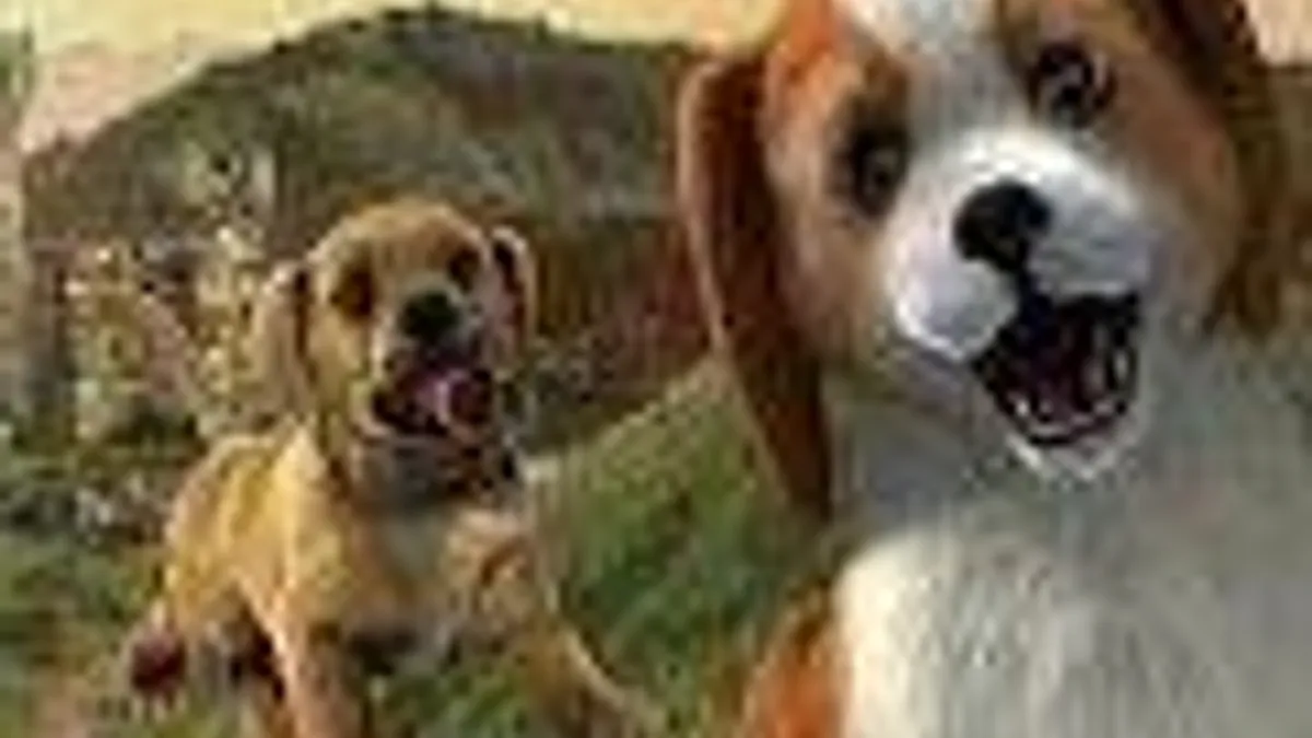 Hlavní obrázek článku: PlayStation Vita Pets