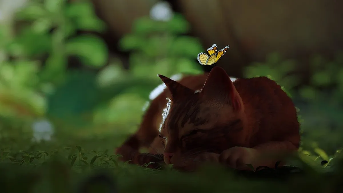 Hlavní obrázek článku: Kočičí dobrodružná hra Stray vyjde v srpnu pro konzole Xbox 