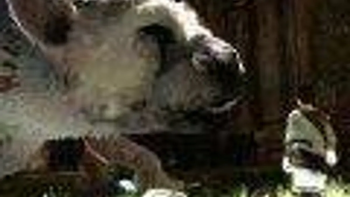 Hlavní obrázek článku: Spekulace: Mark Cerny pomáhá s dokončením The Last Guardian