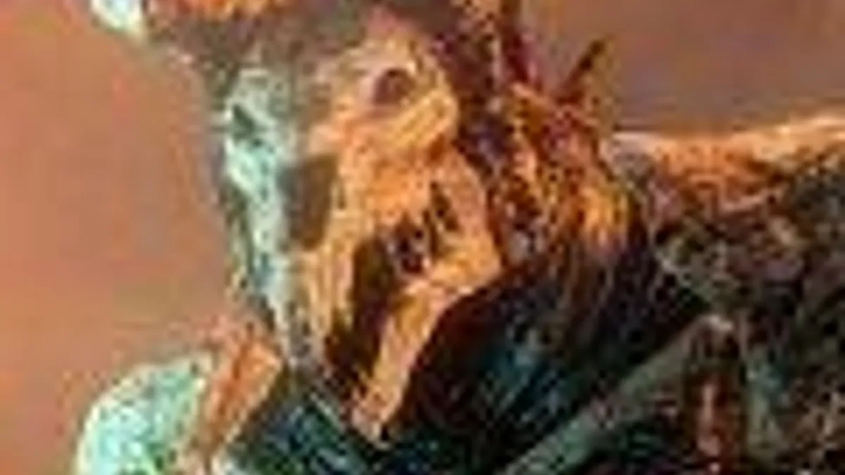 Hlavní obrázek článku: PlayStation 4 trailer na akční RPG Bound by Flame