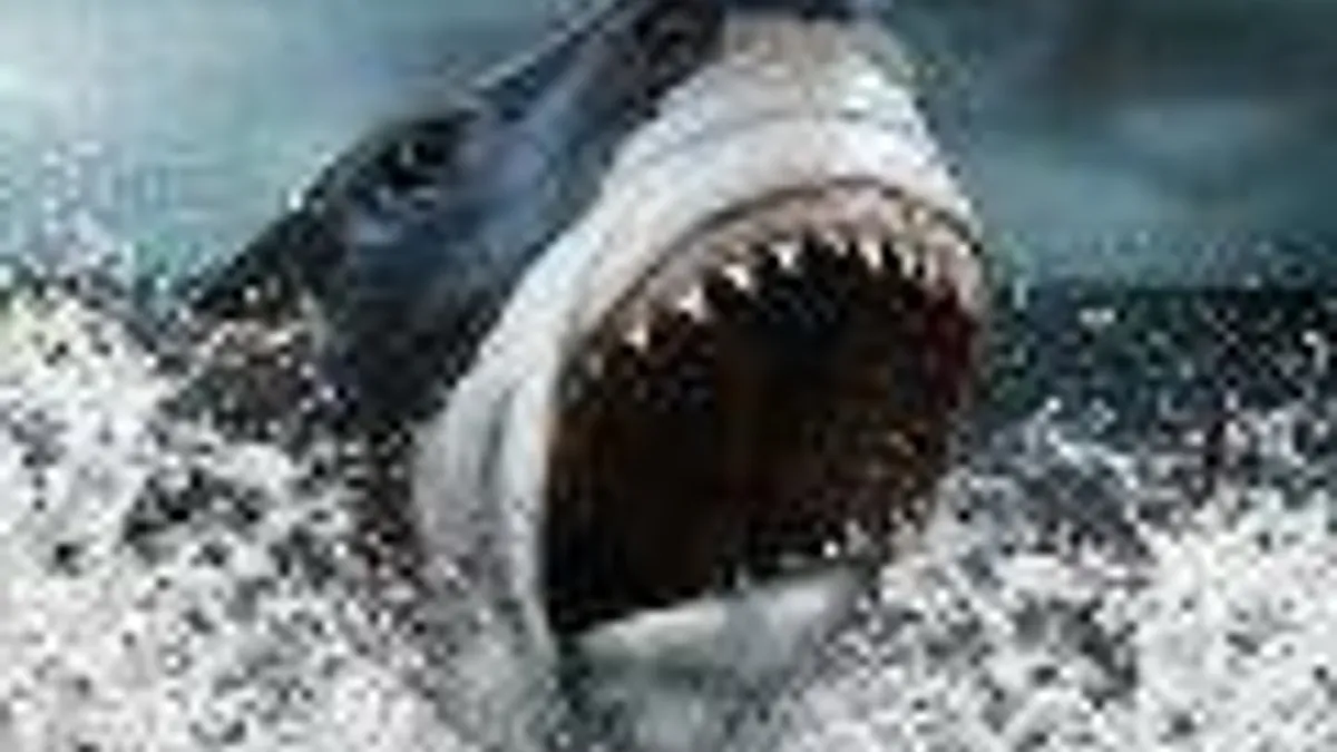 Hlavní obrázek článku: Megalodon v DLC Naval Strike pro Battlefield 4