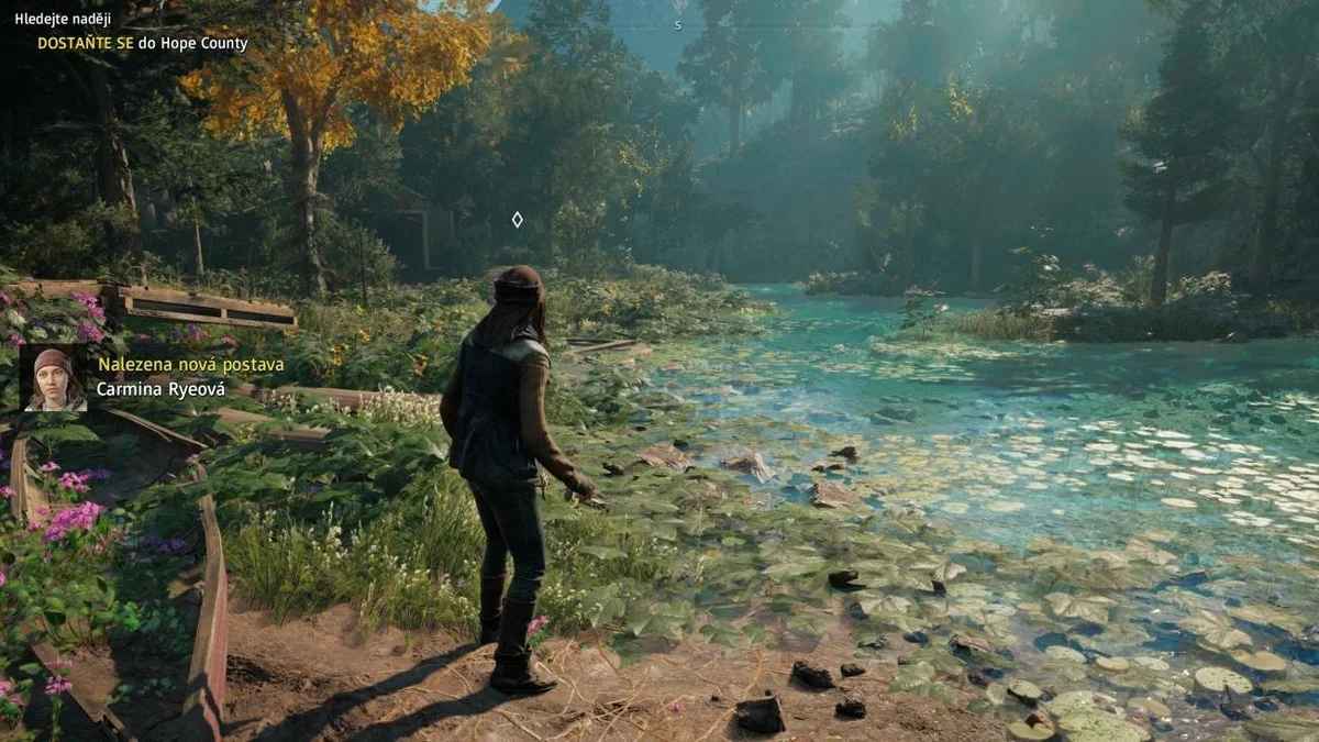 Far Cry: New Dawn