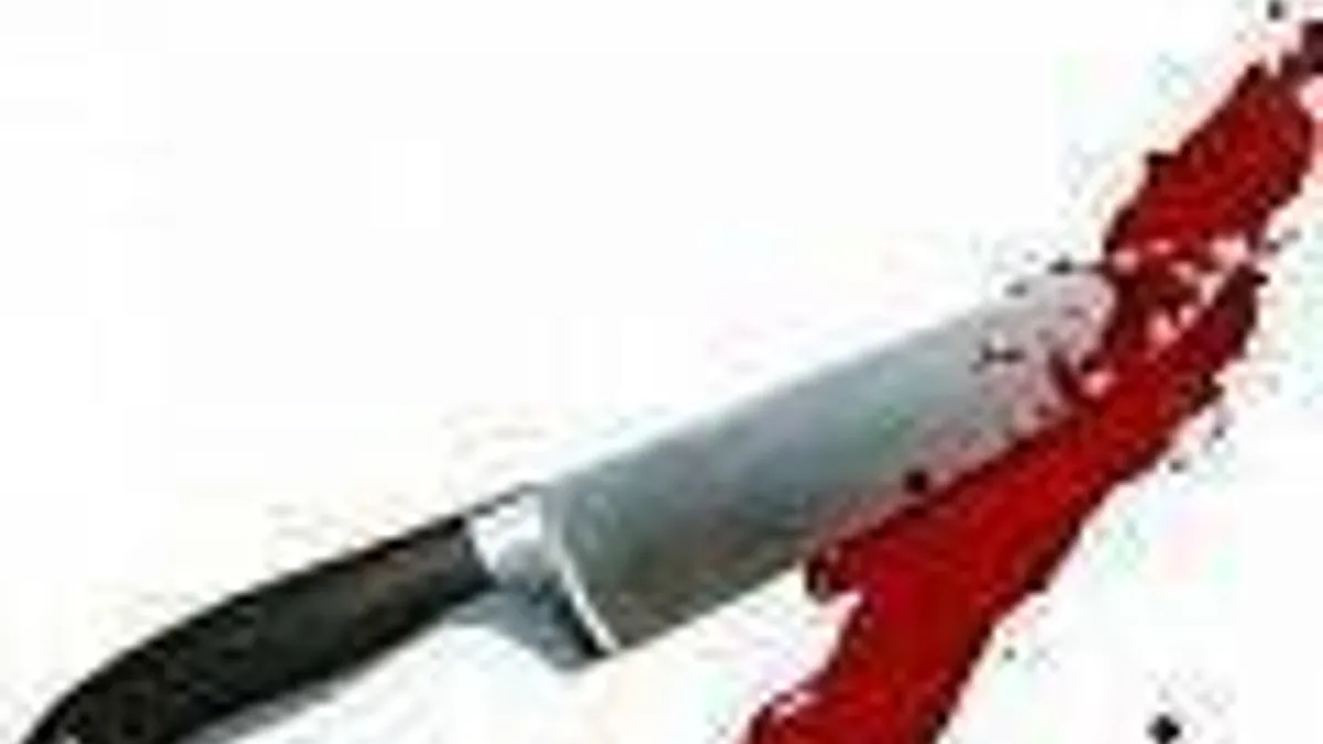 Hlavní obrázek článku: Hráč zabil matku, která mu nezaplatila internet