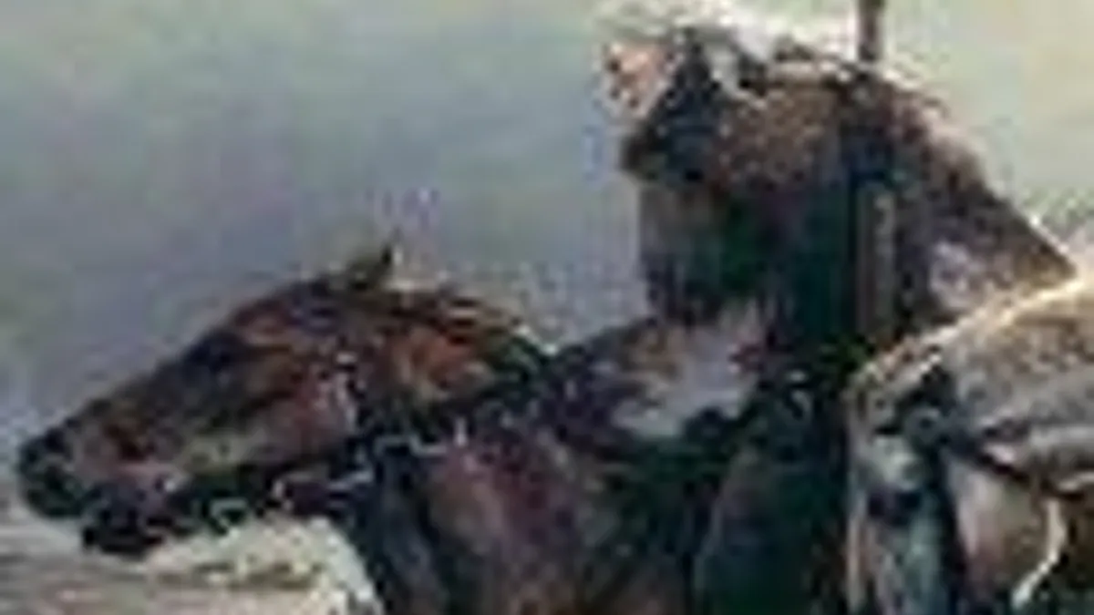 Hlavní obrázek článku: Odhalen next-gen titul The Witcher 3: Wild Hunt - UPDATE: informace a obrázky