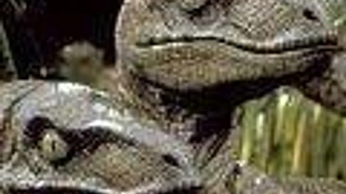 Hlavní obrázek článku: Telltale: Jurský park bereme vážně