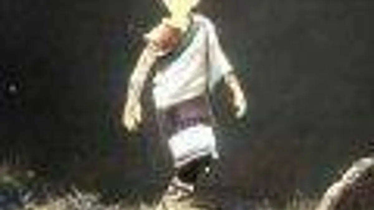 Hlavní obrázek článku: Sony: The Last Guardian je stále ve vývoji