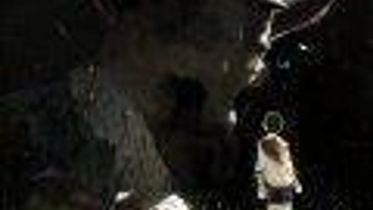 Hlavní obrázek článku: Fumito Ueda: Je mi hrozně líto odkládání The Last Guardian