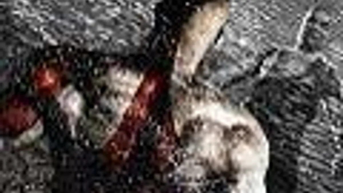 Hlavní obrázek článku: God of War: Origins launch trailer