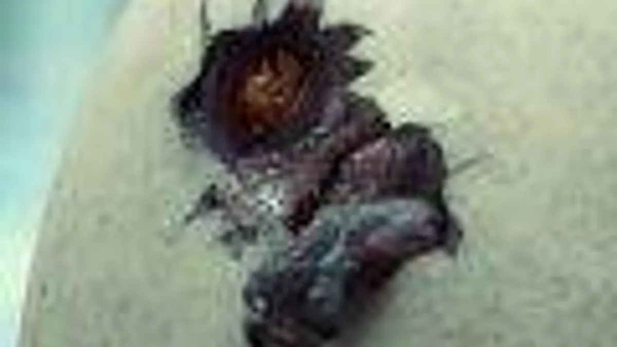 Hlavní obrázek článku: Podívejte se na poslední trailer filmu Jurský svět