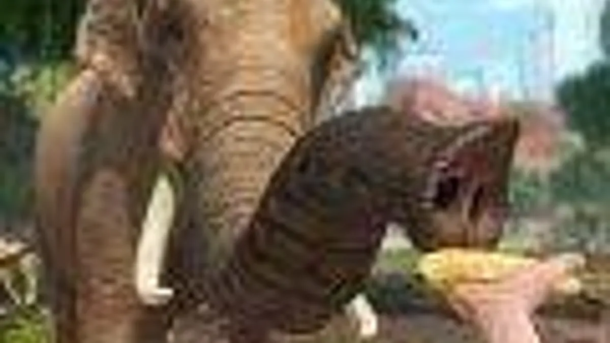 Hlavní obrázek článku: Vychází u nás Zoo Tycoon pro Xbox 360