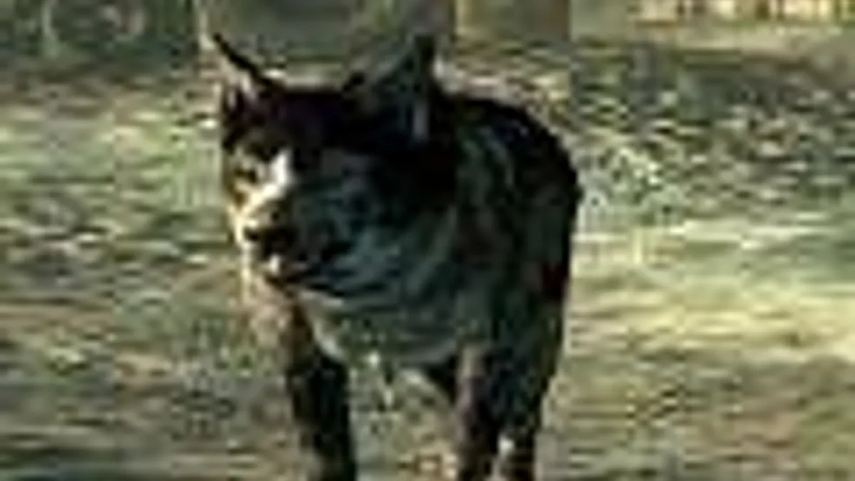 Hlavní obrázek článku: Fallout bez Dogmeata není Fallout