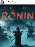 Rise of the Ronin