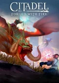 Obálka hry: Citadel: Forged With Fire