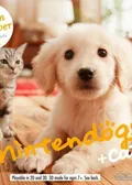 Obálka hry: Nintendogs + Cats: Golden Retriever & New Friends