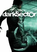 Dark Sector