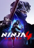 Obálka hry: Ninja Gaiden 4