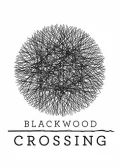 Obálka hry: Blackwood Crossing