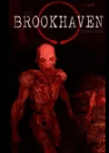 The Brookhaven Experiment