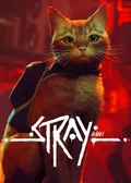 Stray