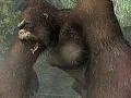 King Kong: Official Game of the Movie 