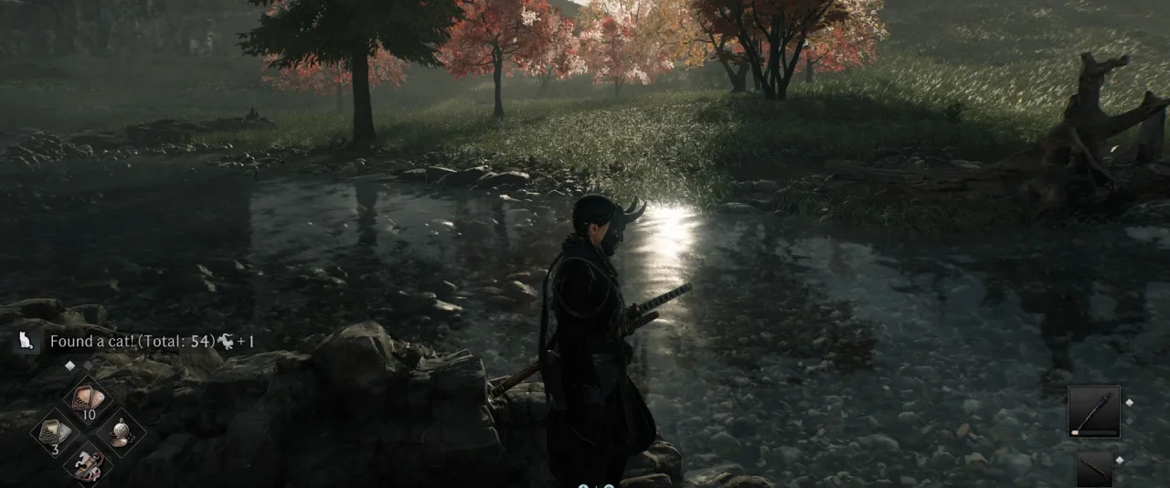 Rise of the Ronin