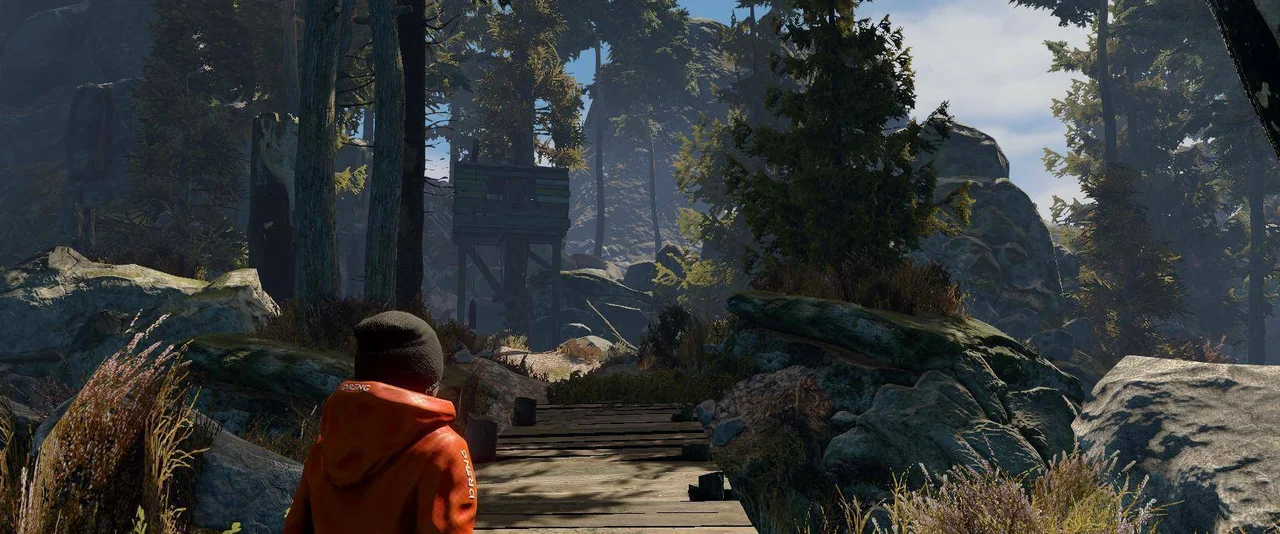 Through the Woods