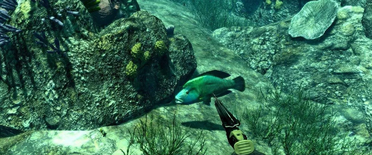 Spearfishing