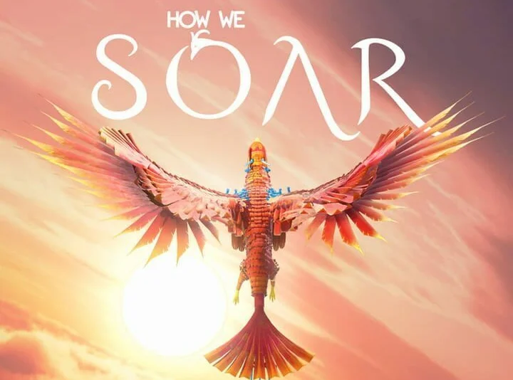 How We Soar