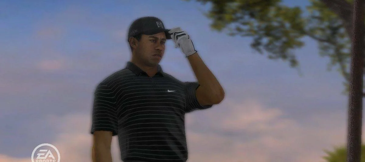 Tiger Woods PGA Tour 08