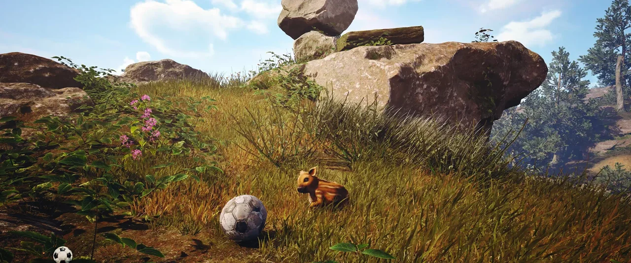 Adorable Adventures