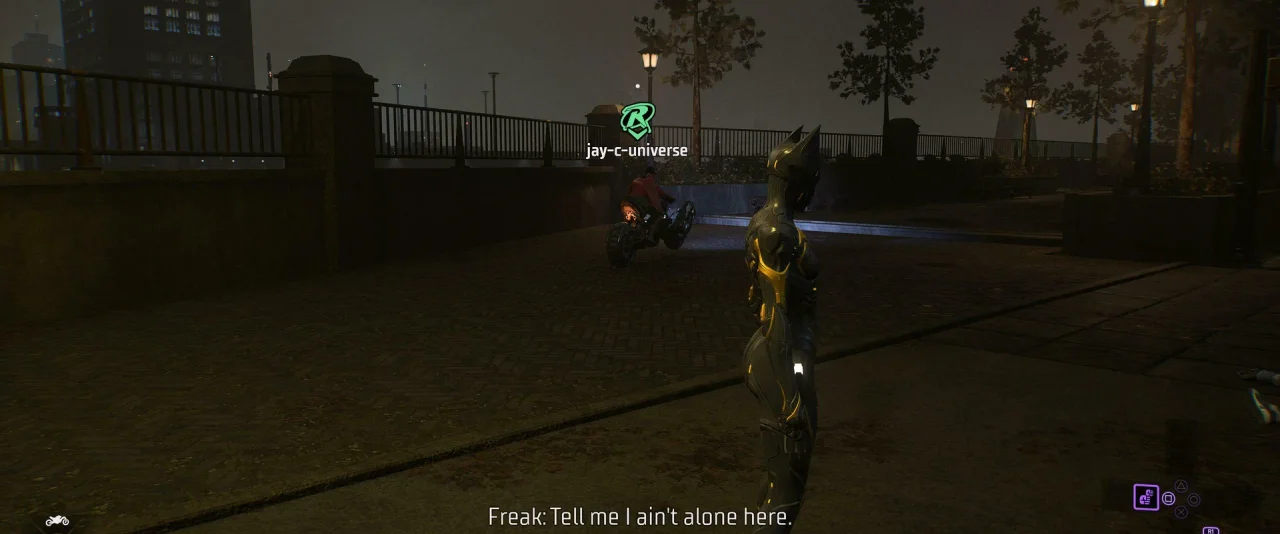 Gotham Knights
