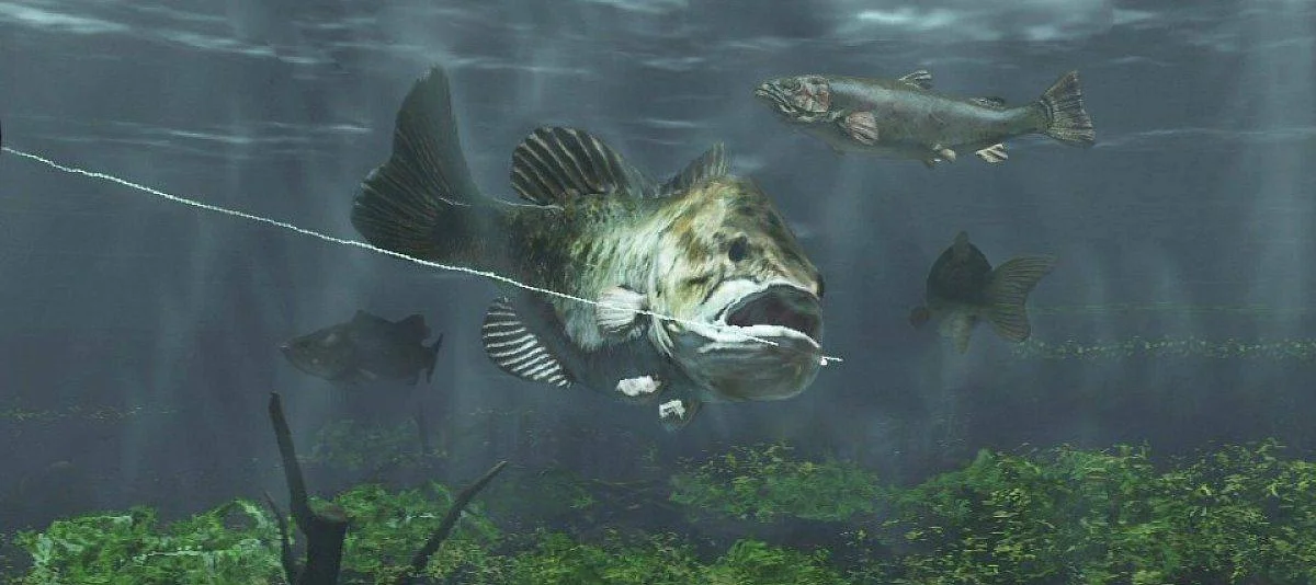 Rapala Fishing Frenzy 2009