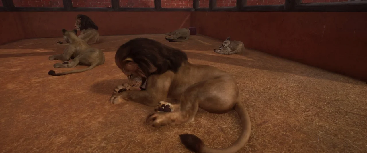 Planet Zoo: Console Edition