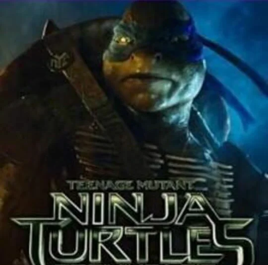 Teenage Mutant Ninja Turtles: Training Lair
