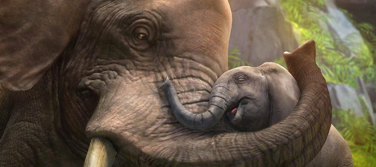 Zoo Tycoon