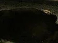 Murdered: Soul Suspect vyjde začátkem příštího roku