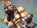 Krieg pro Borderlands 2 vyjde příští týden